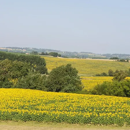 La Halippe Caussens