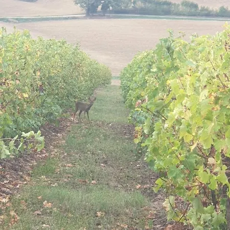 La Halippe Ferienhaus *