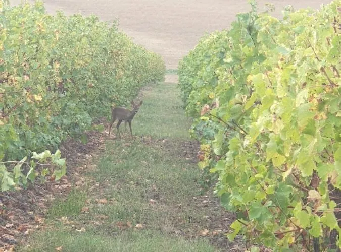 La Halippe Hébergement de vacances *